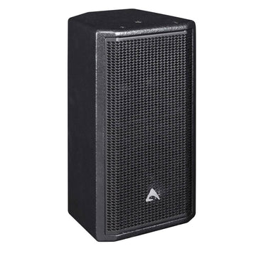 Axiom ED60P 6” Passive PA Speaker