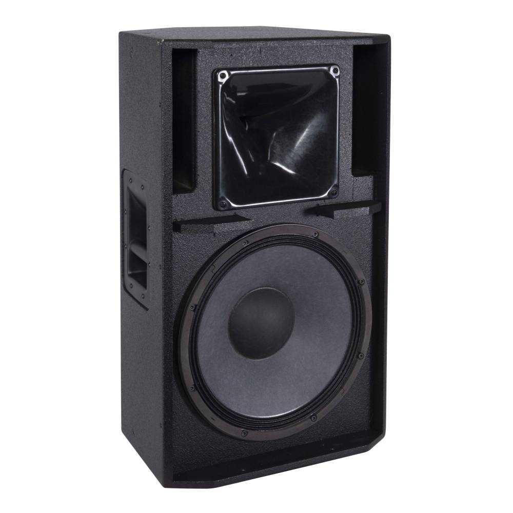 Axiom ED150P 15" Passive PA Speaker